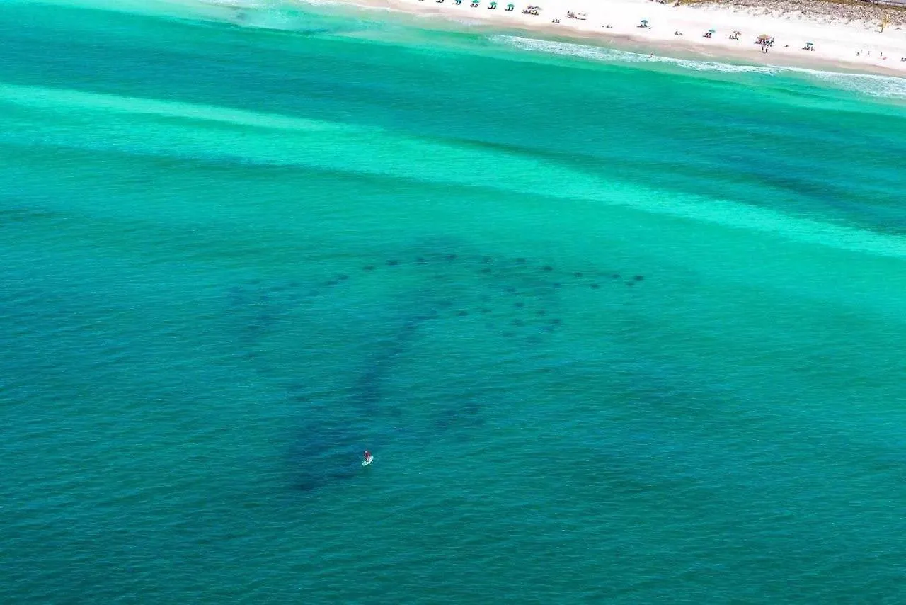 Coastal Cabana Destin United States
